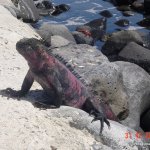 image dsc00060-jpg
