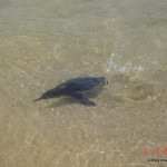 image dsc00107-jpg