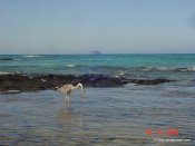 image santacruz-jpg