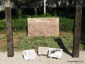 image img_1819-jpg