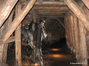 image img_1870-jpg