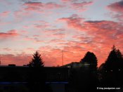 image img_1921-jpg