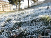 image img_2020-jpg