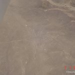 image nazca20-jpg
