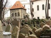 image img_2728-jpg