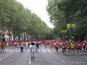 image img_6254-jpg