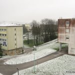 image img_2746-jpg