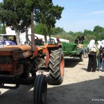 image img_2891-jpg