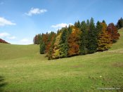 image img_6316-jpg