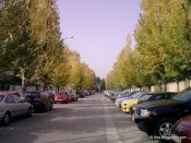 image p171109_12-53-jpg