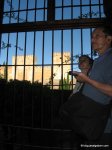 image img_0270-jpg