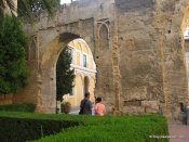 image img_0441-jpg