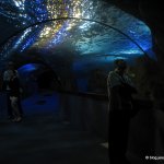 image img_0783-jpg