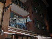 image img_2291-jpg