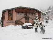 image img_7010-jpg