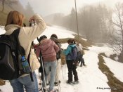 image img_7104-jpg