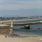 image img_2584-150x150-jpg