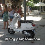 image img_4304-150x150-jpg