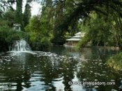 image pict9090-300x225-jpg