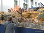 image img_0351-jpg
