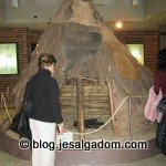 image img_0417-150x150-jpg