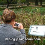 image img_4515-150x150-jpg