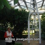 image img_4538-150x150-jpg