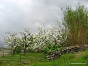 image img_5263-jpg