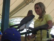 image img_6512-jpg