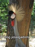 image img_6542-112x150-jpg