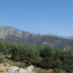 image img_7069-hugin-150x150-jpg